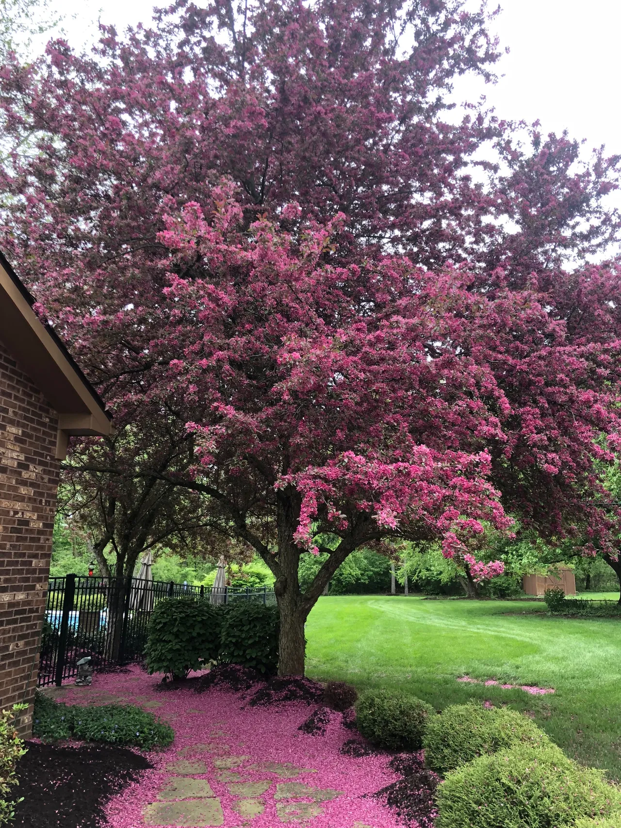 Landscaping Gallery 3